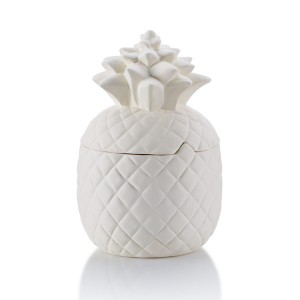 GAR 4189 Pineapple Canister